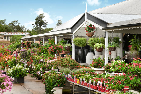 Brisbane Plant Nursery